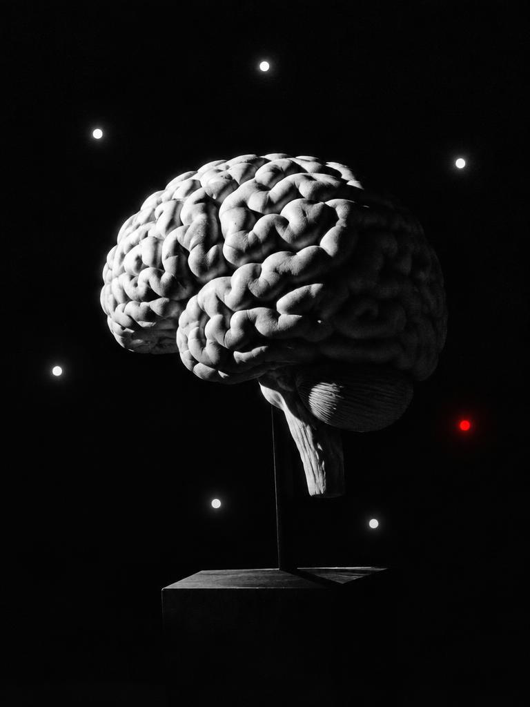 Visuel conceptuel : Le cerveau